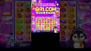 [슬기로운카지노] 슬롯카메오 펭귄 슈가러쉬에서 700배 넘게 먹는다고?? #슬롯머신 #슬롯 #프라그마틱 #잭팟 #slot #pragmatic
