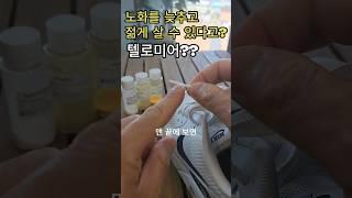 텔로미어를 알면 노화 늦추는 방법도 알게 될까? #노화늦추는방법 #텔로미어