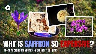 Exploring the Golden Spice: A Journey into the World of Saffron. @howtoacademy671