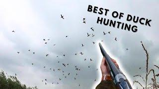 BEST OF DUCK HUNTING