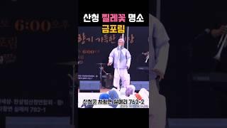 산청 찔레꽃 명소 금포림 #산청군 #2025산청방문의해 #공보형 #장사익  #산청여행 #경남여행 #자연풍경 #찔레꽃 #꽃구경 #장사익찔레꽃음악회 #장사익찔레꽃