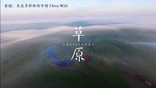 家园 生态多样性的中国 第三集 草原 China Wild E03 Grasslands