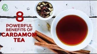 8 Powerful Benefits Of Cardamom Tea | Organic Facts