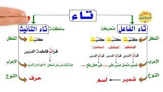 الفرق بين تاء الفاعل وتاء التانيث - سلسلة النحو التعليمى