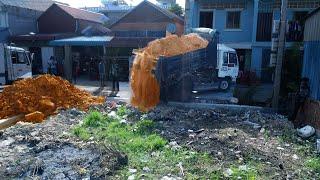 Completed 100%!! Dozer D20 & truck 5T pushing Dry soil Into the foundation For building a house