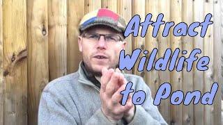 How to attract and encourage wildlife to a garden | UK Wildlife Ponds