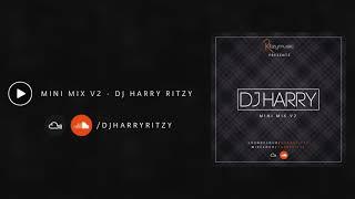 MINI MIX V2 - DJ HARRY RITZY