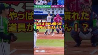 『父の日』はイベントなし…