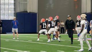 Florida Gators Football Spring Practice 3/8/25