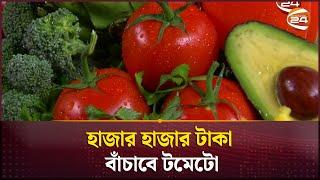 হাজার হাজার টাকা বাঁচাবে টমেটো | Benefits of Tomatoes | Channel 24