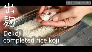 【麹本】#kojiforlife|出麹　dekoji | completed rice koji