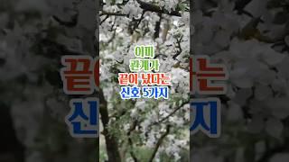 이미 관계가 끝이났다는 신호5가지#명언#좋은글#지혜#인생조언