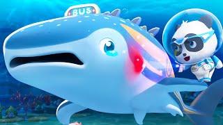 Kiki Helps A Whale Shark Bus | Super Rescue Team | Cartoons for Kids | BabyBus TV