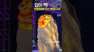 입이 쩍! 벌어지는 북청사자놀음, 연등회에 뜬다고? #연등회 #한마음선원 #연등행렬