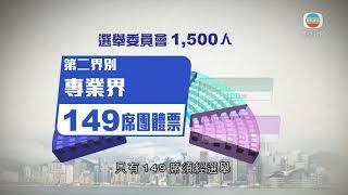 選委會界別分組一般選舉提名期開始 有參選人遞交報名表格