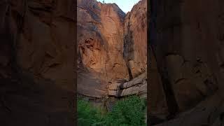 Zion National Park #utah #zion #nationalpark #arizona #grandcanyon #forest #mountains