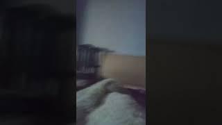 @SerGioNis