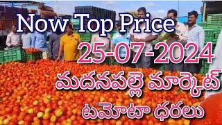 25-07-24#madanapalle tomato market price today#todaytomatoprice#madanapalle#మదనపల్లి#sreenivasvlogs