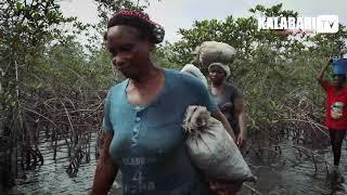 "ISAM" (How Periwinkle is gotten from the Mangrove) | KALABARI TV