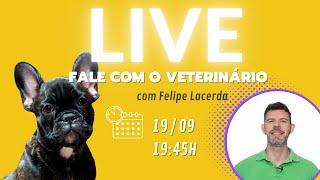 125 | FALE COM O VETERINÁRIO - Live gratuita para você perguntar tudo sobre seu cachorro ou gato!