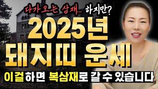 2025년 을사년 돼지띠운세 가장 신경써야할 삼재.. 하지만?? [인천용한점집 청화신당]