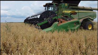 Oat Harvest Has Begun!!!