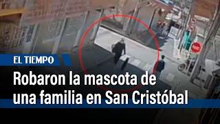 Una familia del barrio Juan Rey de San Cristóbal, denuncia robo de su mascota | El Tiempo