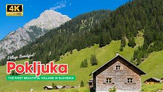 Pokljuka, Unveiling a village in the unspoiled wilderness of Slovenia