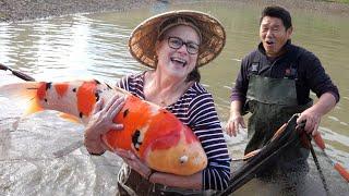 MOM CATCHES JUMBO KOI FISH!! *Worth Millions* Hidden Mud Pond!!