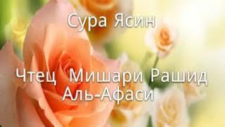 Сура Ясин Чтец Мишари Рашид Аль-Афаси