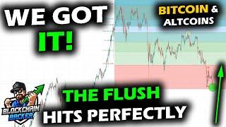 THERE IT IS! The Bitcoin Price Chart and Altcoin Market Flush to the Low, Looking to Settle