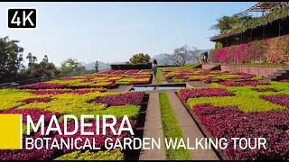 Funchal, Madeira  | The Botanical Gardens - A Walk Through Jardim Botanico (with captions)