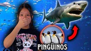 VISITÉ EL ACUARIO MÁS GRANDE DE LATAM!!| Regina MH