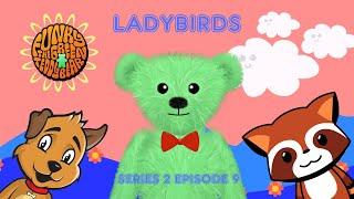 Funky the Green Teddy Bear – Ladybirds – Preschool Fun for Everyone! Series 2 Episode 9