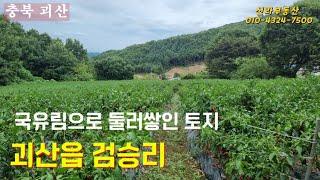 괴산읍 전3,018㎡(913평) 체류형쉼터 추천 #괴산군부동산 #괴산토지매매 #괴산귀농지 #괴산부동산 #농지매매