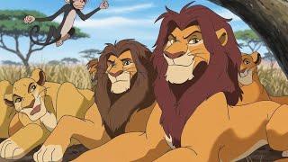 The dancing Lion King Samba / cartoon story for kids: