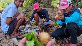 Sigarilyas na ligaw at lima lima ang nakita namin sa bundok dikit dikit ang laman