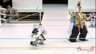 Robot Pro-Wrestling Dekinnoka!8 - Saaga VS Leghorn -