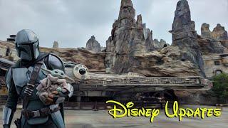 Disney Updates: Mando & Grogu Taking Over the Falcon & More!!