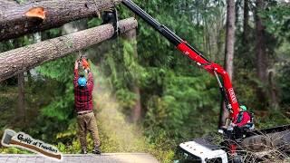 We Saved this HOUSE! Two Giant Trees Removed After A Storm - Hemlock and Fir Job