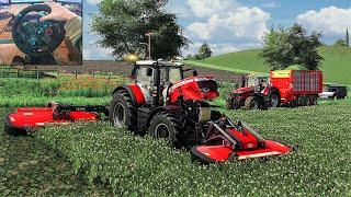 Mowing & Collecting Clover w/ Massey Ferguson 8700S - FS 19 | Logitech g29 gameplay