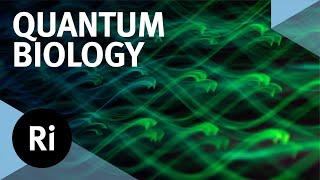 A future with quantum biology - with Alexandra Olaya-Castro