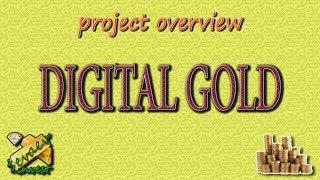 Digital Gold / Overview of the company