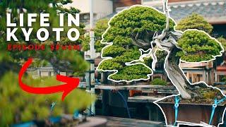 Niwaki Hunting in Osaka | Life in Kyoto | Ep. 7