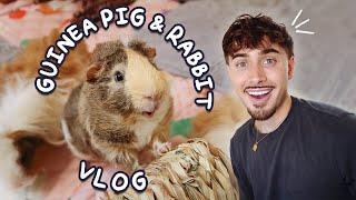 Life With 18 Animals!  PET VLOG