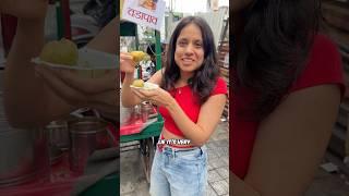 Part 5 ( NAGPUR ) - Finding The Best Pani Puri In INDIA 