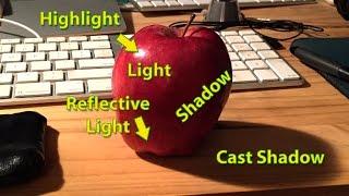 Light, Shadow, Cast Shadow, Reflective Light - Art EDU