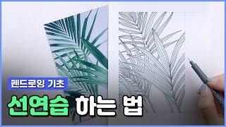 펜드로잉 기초 선연습 꿀팁 대방출 / Pen and ink drawing, line practice