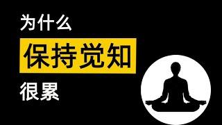 為什麼保持覺知會很累？正念冥想 保持正念的力量和技巧 Daily buddhist practice buddhism audiobook a level buddhism