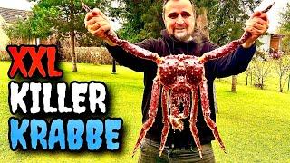 1000€ XXL KINGCRAB zubereiten --- Klaus grillt